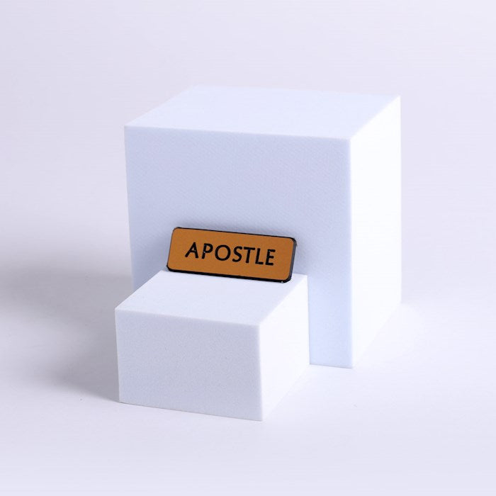 Badge-Contemporary-Apostle-Gold/Black-Magnetic Back