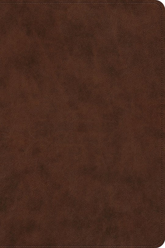 ESV Holy Bible: Dyslexia-Friendly Edition-Brown TruTone