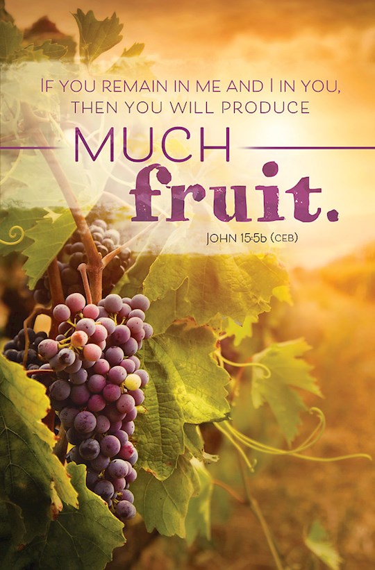 Bulletin-If You Remain In Me And I In You...Much Fruit (John 15:5B CEB) (Pack Of 100)