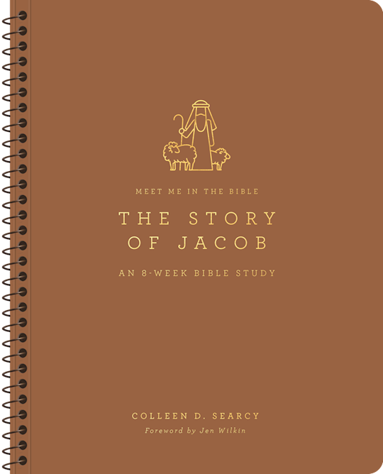 The Story Of Jacob (Meet Me In The Bible)