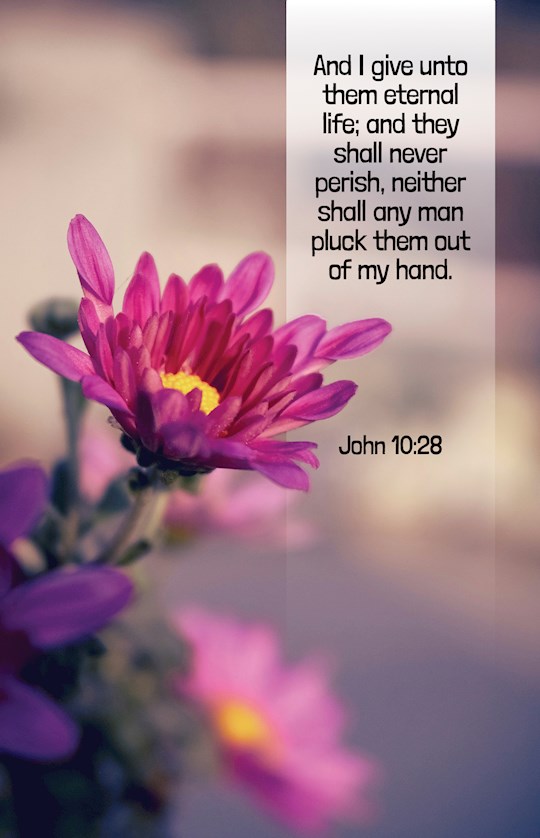 Bulletin-And I Give Unto Them Eternal Life...Pluck Them Out Of My Hand (John 10:28 KJV) (Pack Of 100)