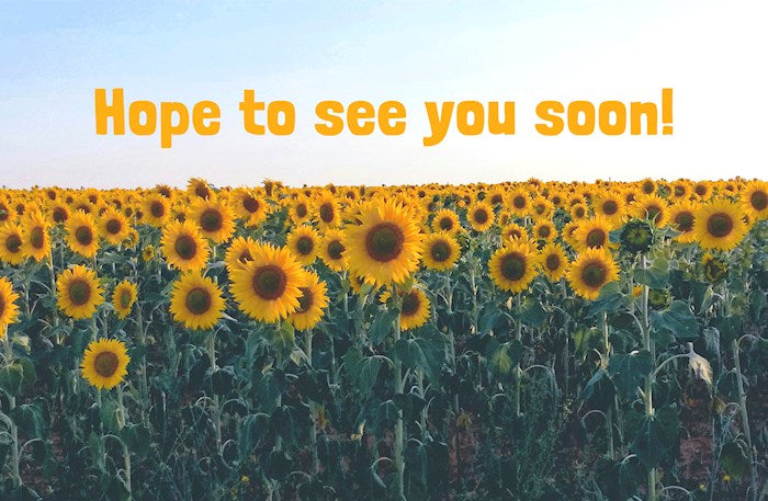 Visitor Postcard-Hope To See You Soon! (Romans 5:1 KJV) (Pack Of 25)