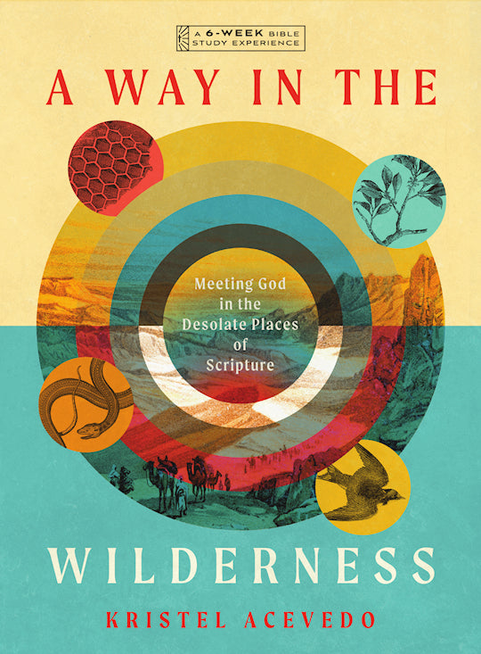 A Way In The Wilderness