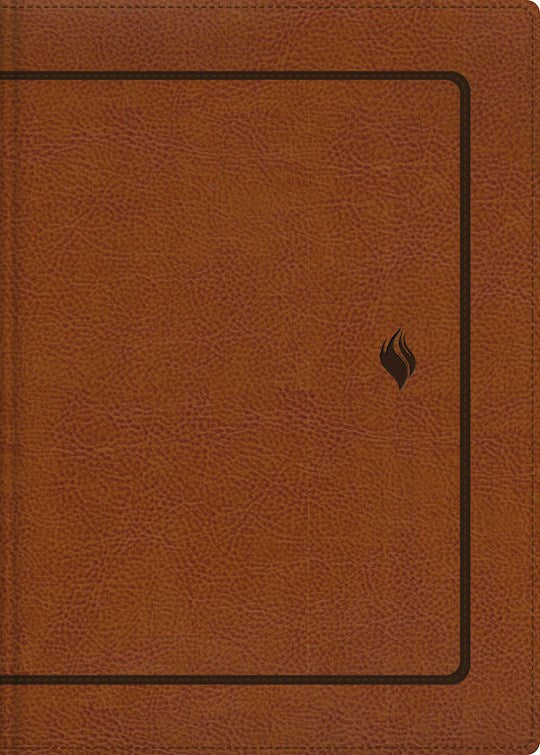 RVR 1960 Biblia de Estudio de la Vida Plena Edicion Clasica-Two Tone Brown Leathersoft