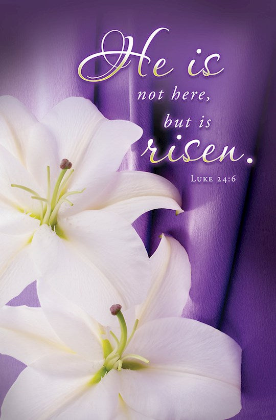 Bulletin-He Is Not Here/Easter (Luke 24:6 KJV) (Pack Of 100)
