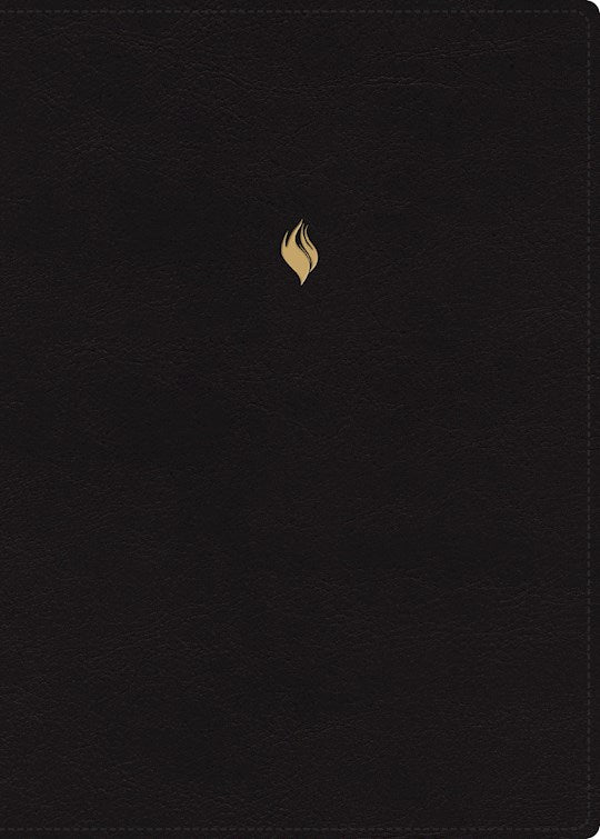 RVR 1960 Biblia de Estudio de la Vida Plena Edicion Clasica-Black Leathersoft Indexed
