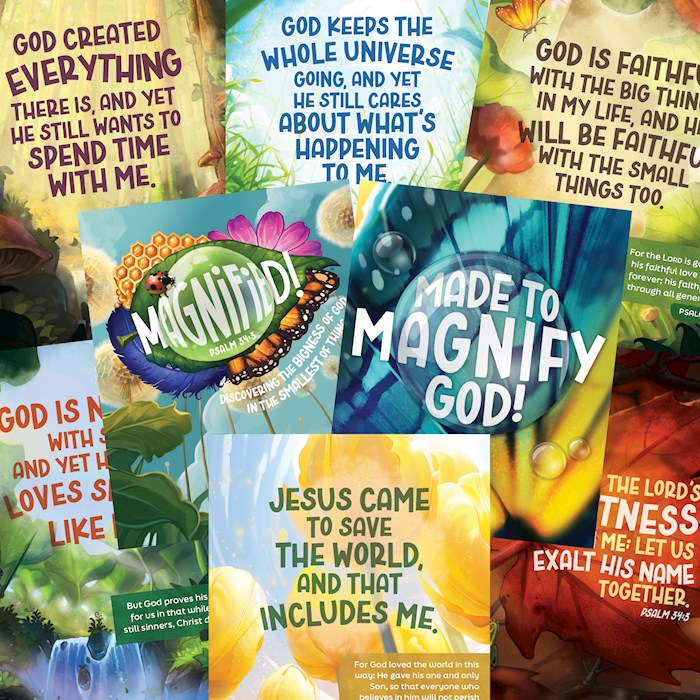 VBS-Magnified!: Visual Pack (Pack Of 8) (2025)