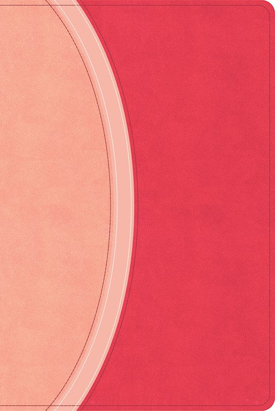 CSB Rainbow Study Bible (Limited Edition)-Pink LeatherTouch