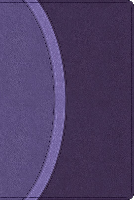 CSB Rainbow Study Bible (Limited Edition)-Purple LeatherTouch