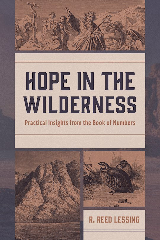 Hope In The Wilderness
