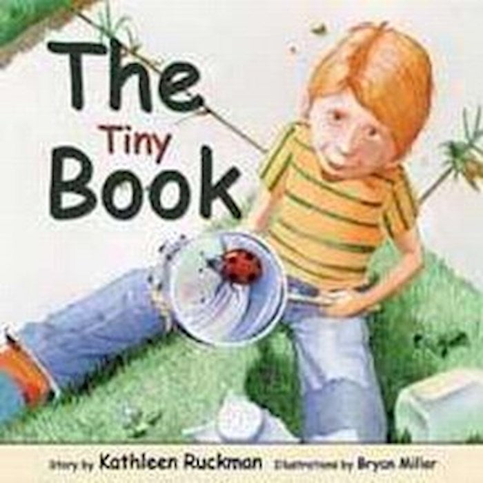 The Tiny Book