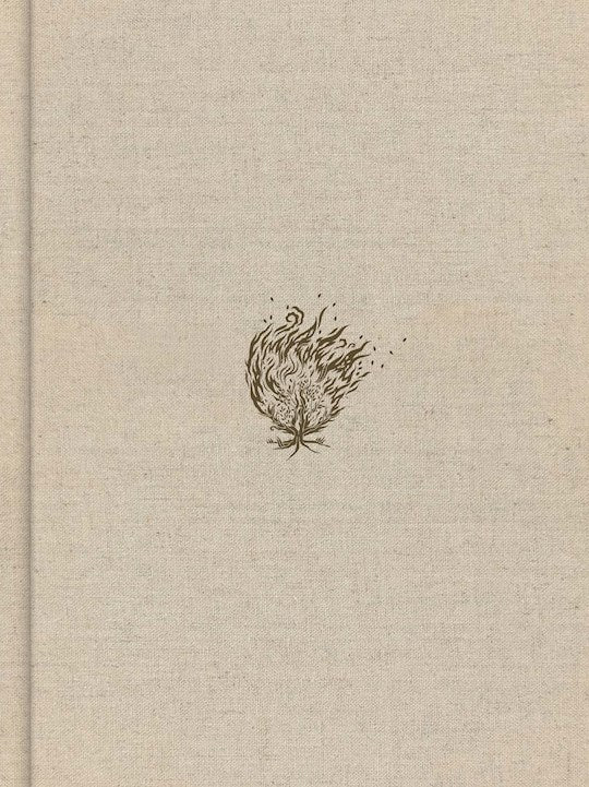 CSB Experiencing God Bible-Cream Cloth Over Board