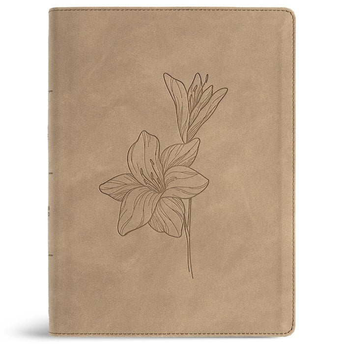 CSB Verse-by-Verse Reference Bible Digital Study Edition-Earth SuedeSoft LeatherTouch