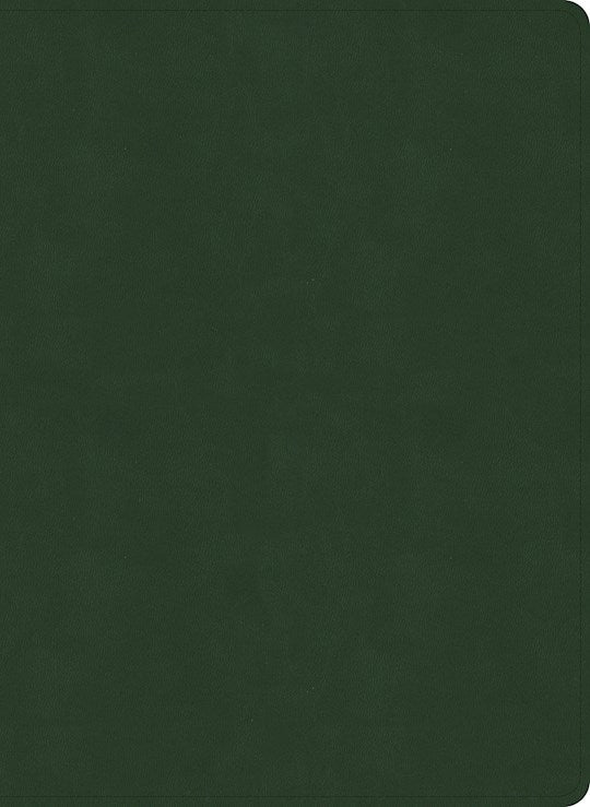 NASB 2020 Study Bible-Olive LeatherTouch