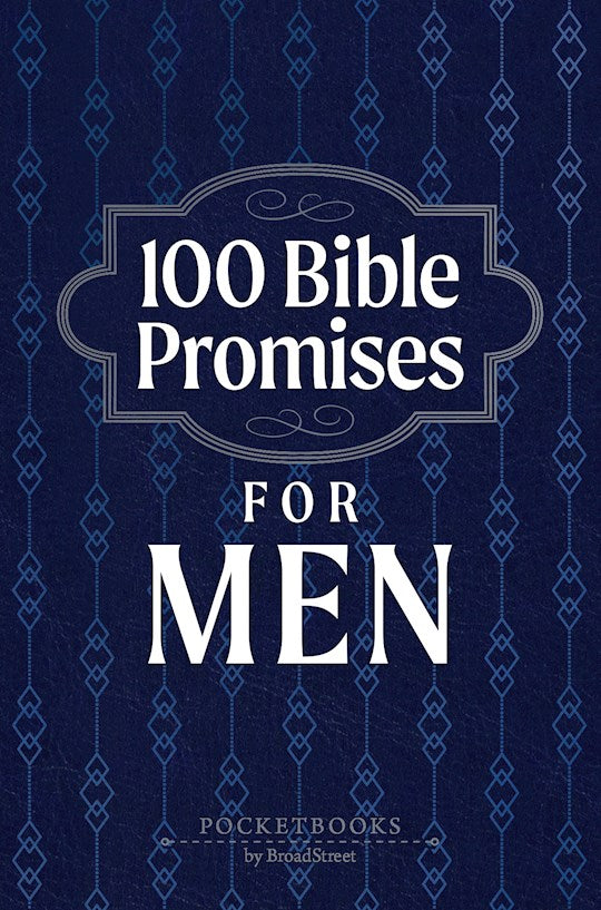 100 Bible Promises For Men