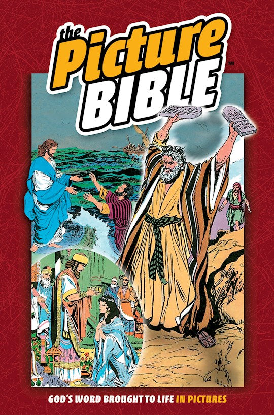 The Picture Bible-Hardcover