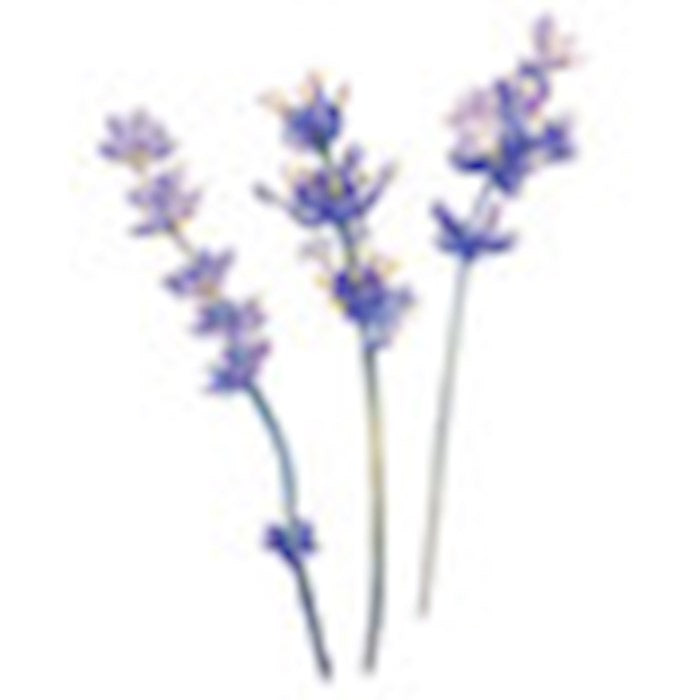 Home Decor-Wood Flowers-Let Kindness In (Set Of 3)