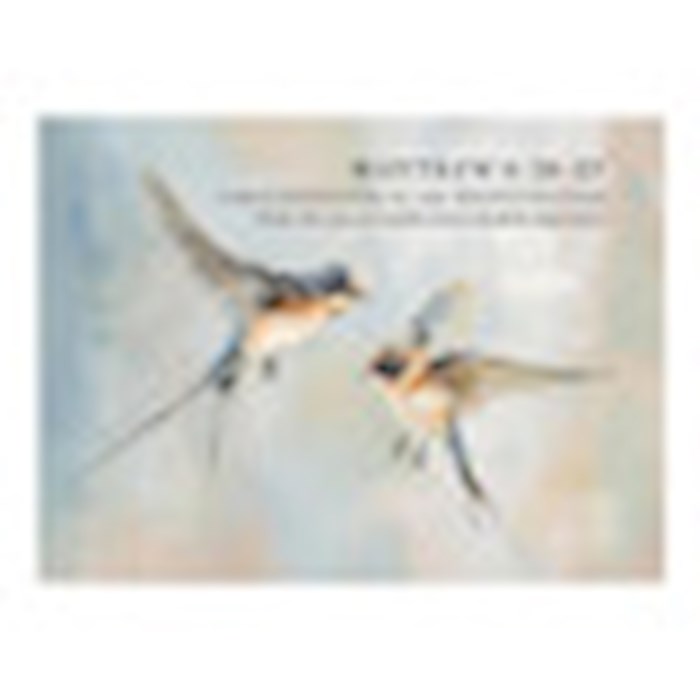 Magnet-Look At The Birds Of The Air