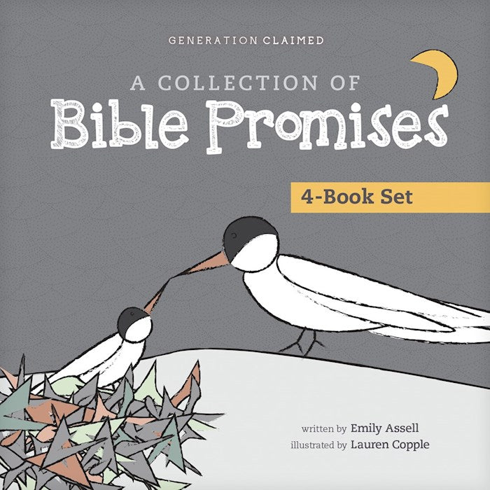 A Collection Of Bible Promises 4-Book Set: When It Hurts/You Are/Tonight/Chosen
