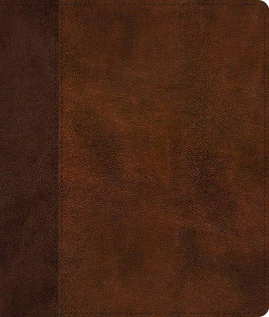 ESV Journaling Bible*-Brown/Tan Timeless Design TruTone