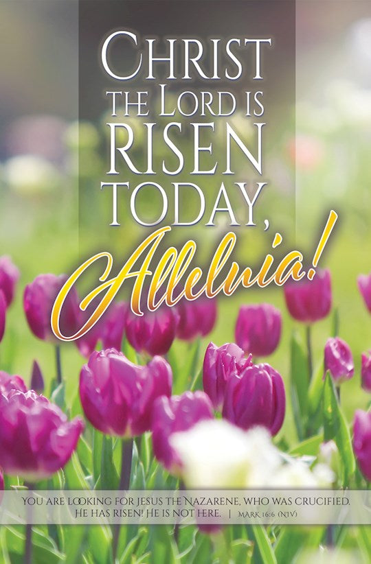 Bulletin-Easter-Christ the Lord Is Risen Today Mark 16:6 NIV (Pack of 100)