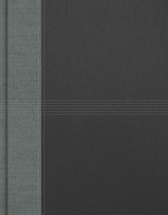 KJV Notetaking Bible-Gray Cloth Over Board