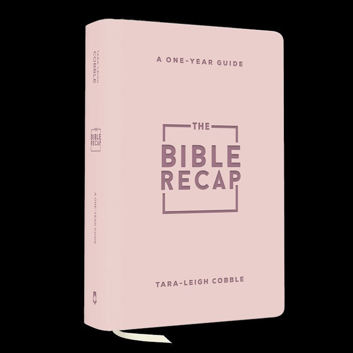 The Bible Recap/Personal Size-Pink Imitation Leather