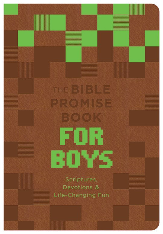 The Bible Promise Book For Boys