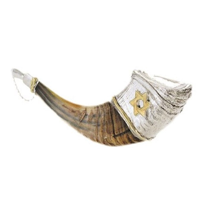 Shofar-Ram Horn-Anointing Silver Plated (8"-10") (