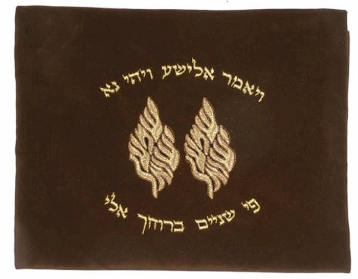Tallit Bag-Elisha Embroidered Velvet (