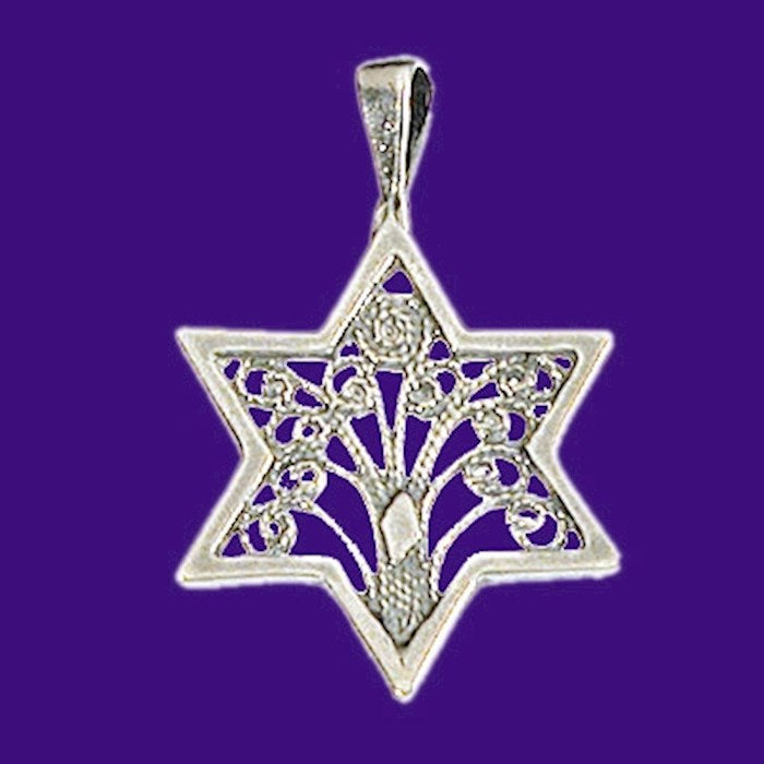 Necklace-Star Of David/Tree Of Life (Sterling Silver)-20" Chain (