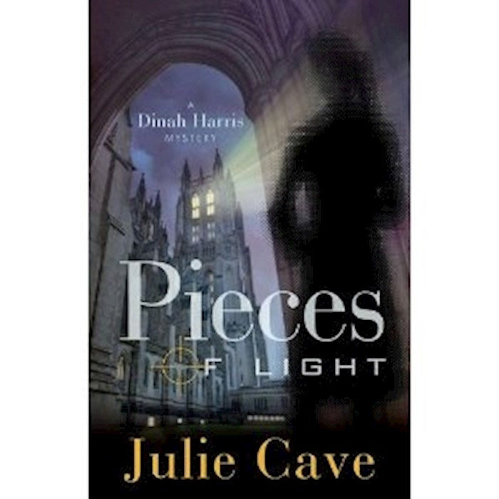 Pieces Of Light (Dinah Harris Mystery 3)