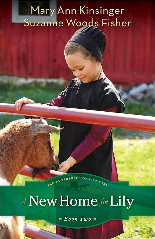 A New Home For Lily (Adventures Of Lily Lapp