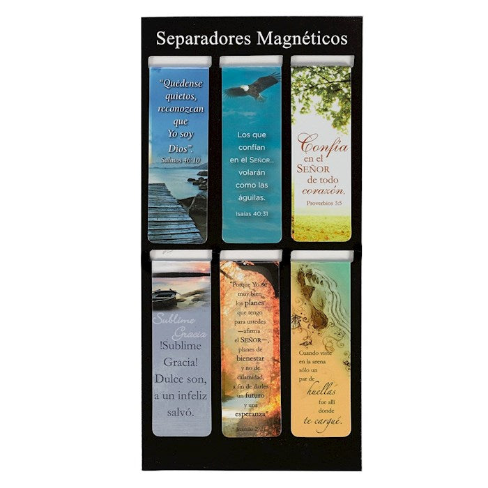 Spanish-Magnetic Pagemarker-Magnetic-Classic Collection Set (6)