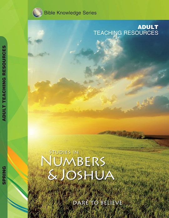 Accent/Scripture Press Spring 2026: Adult Bible Knowledge Series (KJV) Teaching Resources (