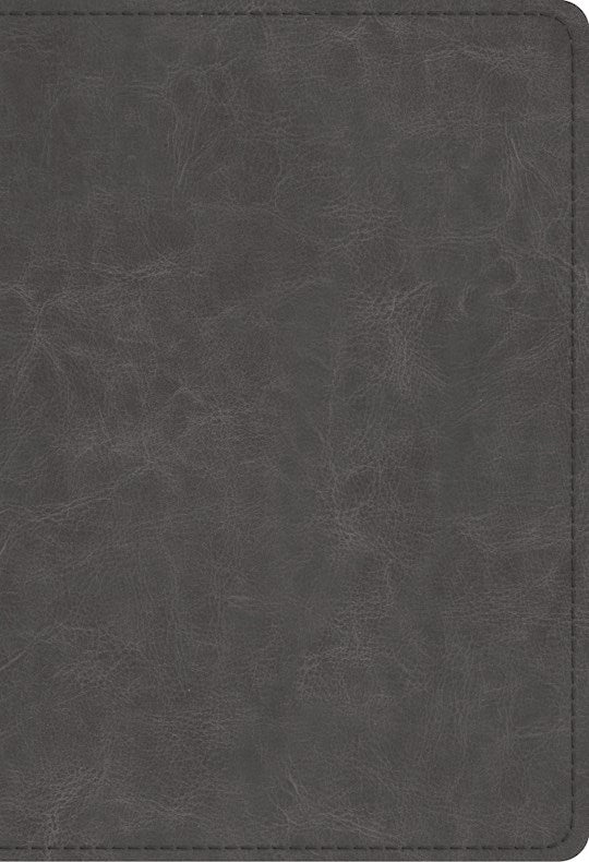 ESV Student Study Bible-Gray TruTone