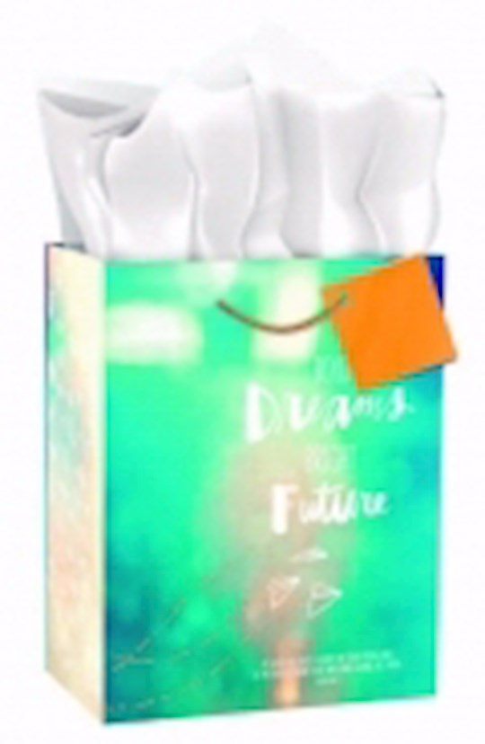 Gift Bag-Specialty-Bold Dreams Bright Future-Psalm 84:11-Medium