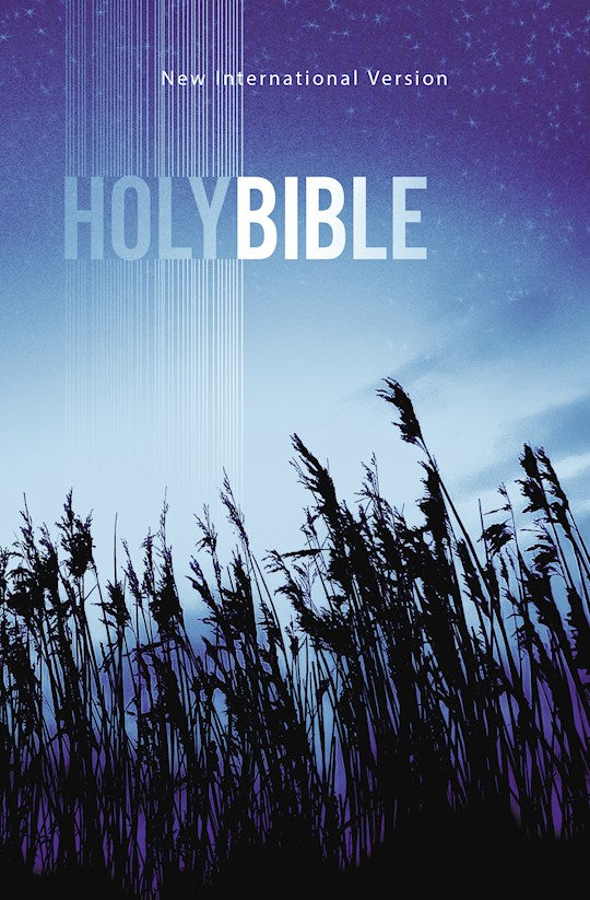 NIV Value Outreach Bible-Blue Wheat Softcover