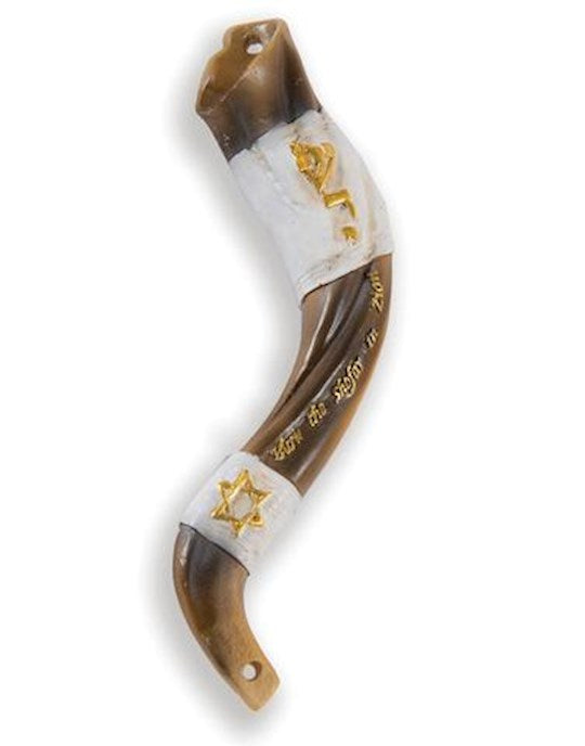 Mezuzah-Blow The Shofar In Zion" (