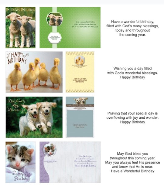 Boxed Card-Birthday Fur And Feathers (Shared Blessings) (Box Of 12)