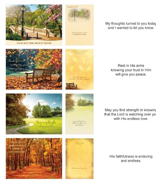 Boxed Card-Thinking Of You: Pathways (Shared Blessings) (Box Of 12)