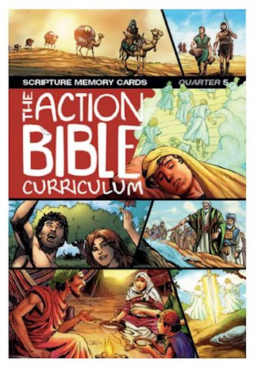 NIV The Action Bible Scripture Memory Cards Q5 (
