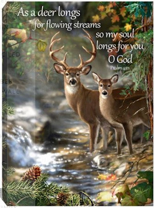Frameless Canvas-Deer Creek/As The Deer Pants For Water... (Psalm 42:1) (w/Scripture (10 x 14)