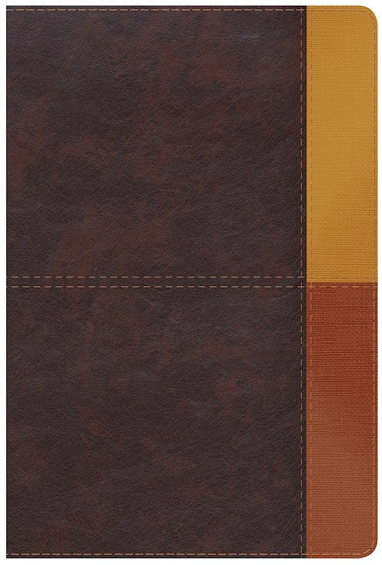 RVR 1960 Biblia de Estudio Arcoiris (Rainbow Study Bible)-Cocoa/Terracota LeatherTouch Indexed