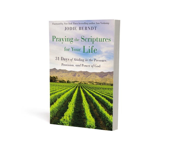 Praying The Scriptures For Your Life