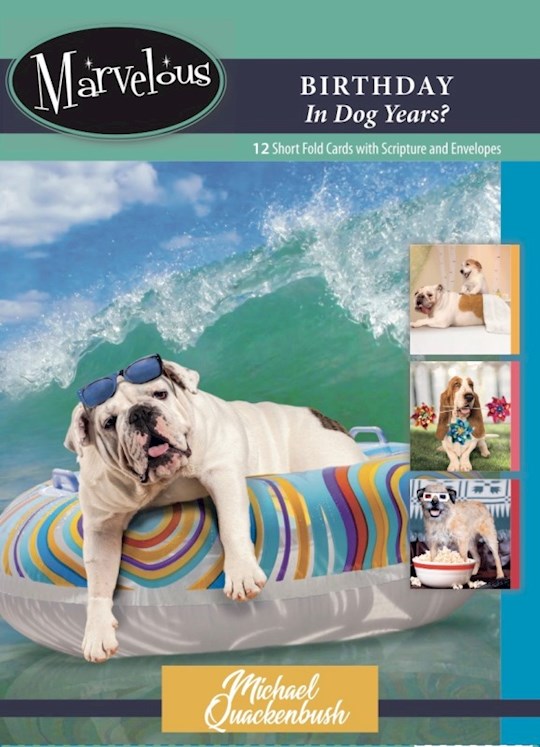 Boxed Card-Birthday (In Dog Years?)