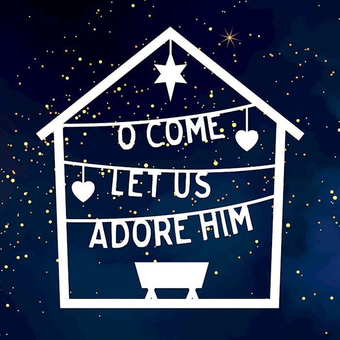 Boxed Cards: Card-Christmas-O Come! Let Us Adore him (Matthew2:2) (Pack Of 6)