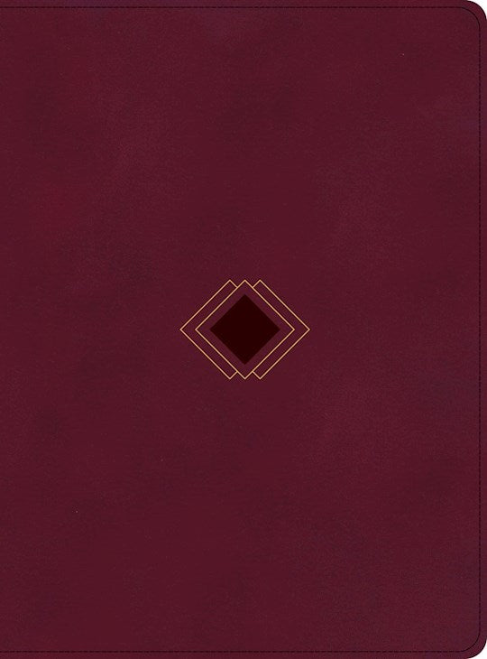 CSB Day-By-Day Chronological Bible-Burgundy LeatherTouch