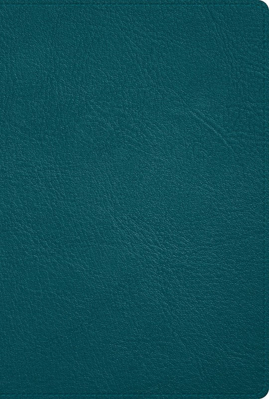 RVR 1960 Biblia Deluxe (Deluxe Bible Holman Handcrafted Collection)-Turquoise Premium Goatskin