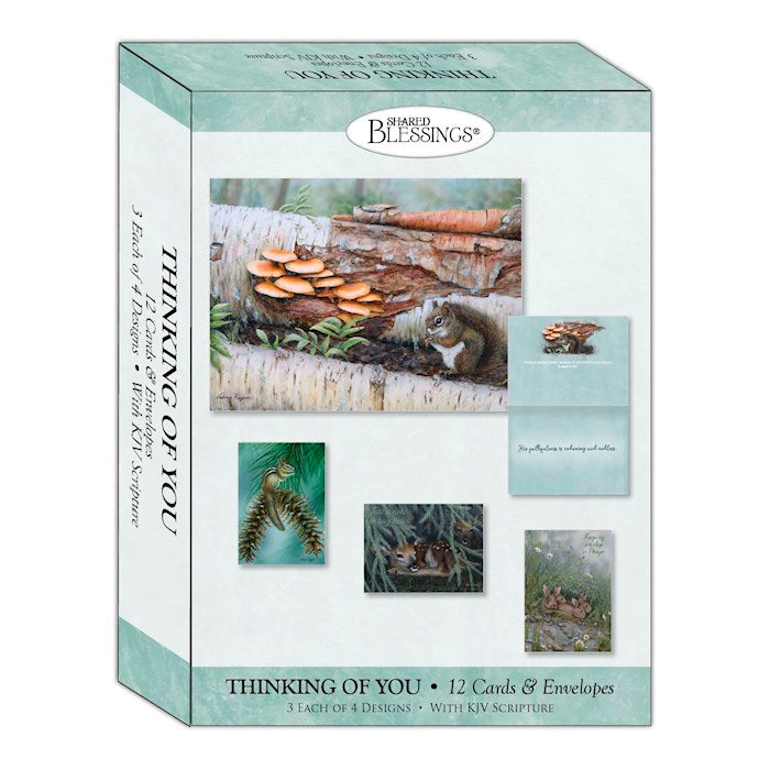 Boxed Card-Thinking Of You: Woodlands (Shared Blessings) (Box Of 12)